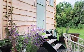 The Shepherds Hut